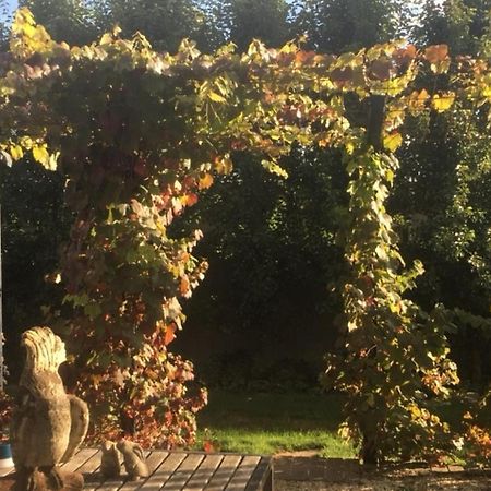 Bed and Breakfast a'meadow Trentham Exterior foto