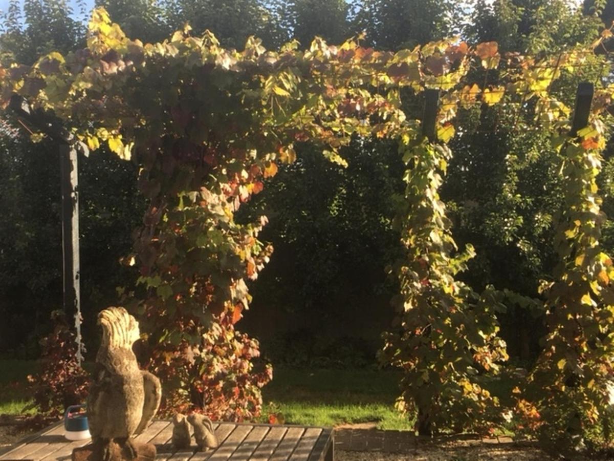 Bed and Breakfast a'meadow Trentham Exterior foto